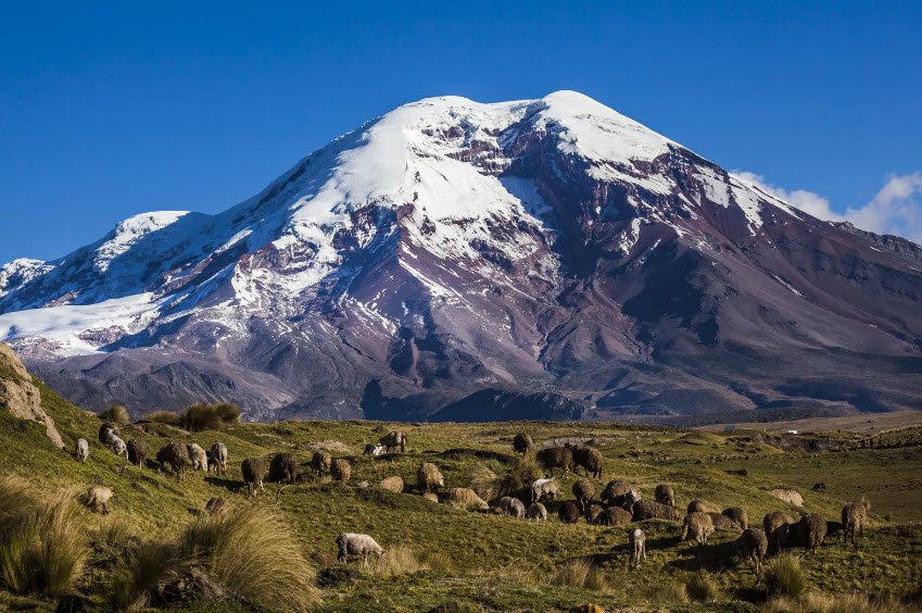 Chimborazo Volcano, Chimborazo Province, Ecuador